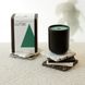 LUTSK candle with pine aroma